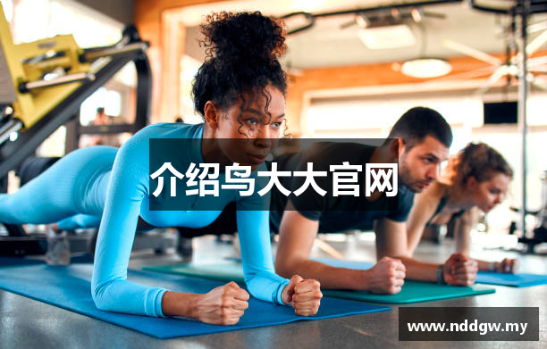 介绍鸟大大官网